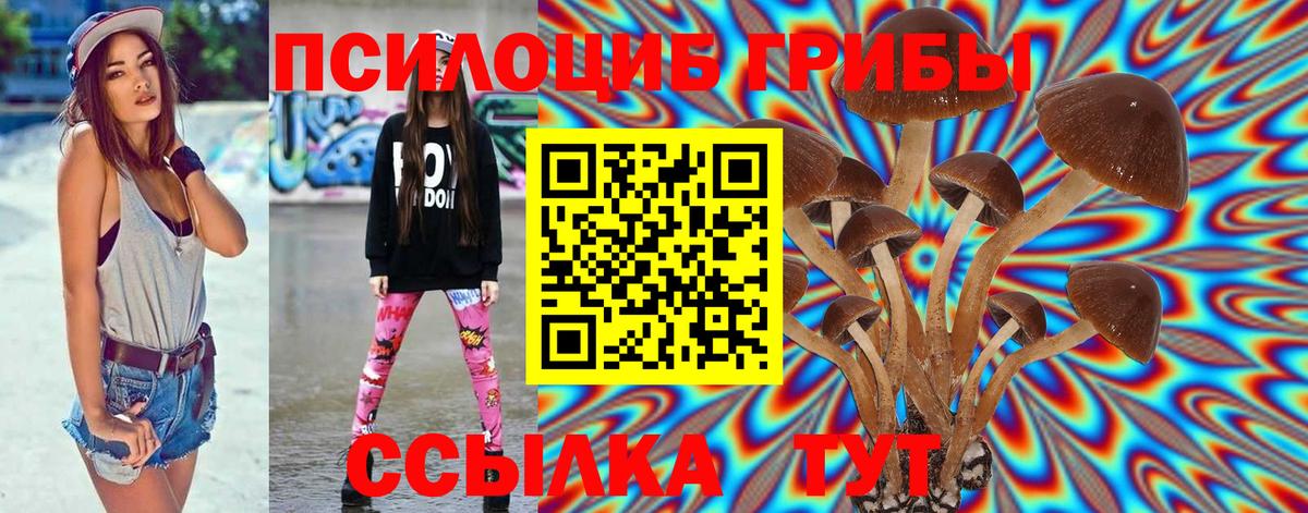 Псилоцибиновые грибы Magic Shrooms  Вход с VPN  где купить наркотик  Татарск  Псилоцибиновые грибы Cubensis 